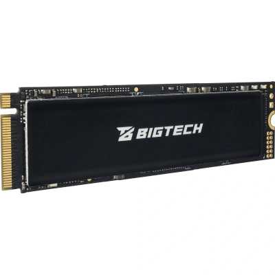 SSD диск BigTech 1Tb BSDS1000M4E Черный