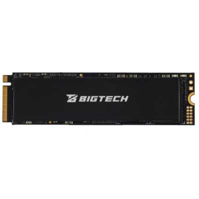 SSD диск BigTech 512Gb BSDS512ME Черный
