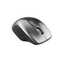мышь Canyon MW-21 CNS-CMSW21DG Серый