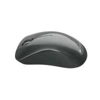 мышь Canyon Pixart MW-11 CNE-CMSW11B Черный