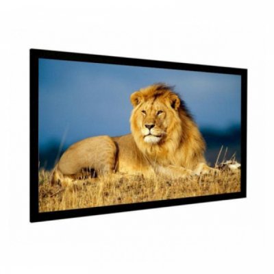 экран для проектора Digis Kauber Frame Velvet Cinema FV.169.289.WFLEX.CIN