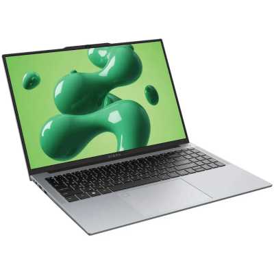 ноутбук Digma Chronos DN16P5-ADXW02 Серебристый