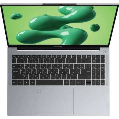ноутбук Digma Chronos DN16P5-ADXW02 Серебристый
