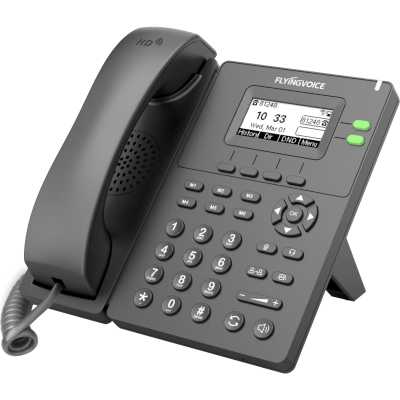 IP телефон Flyingvoice P20P Черный