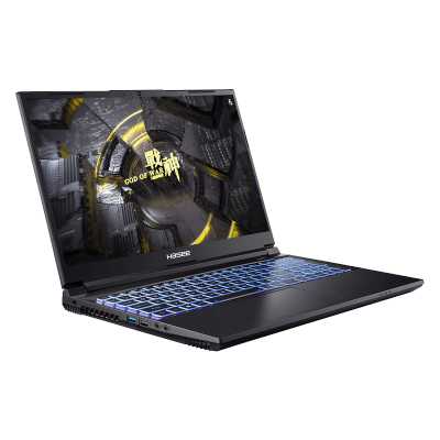 ноутбук Hasee B63614FH-wpro Черный