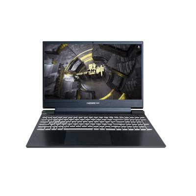 ноутбук Hasee S8 C62654FH Черный