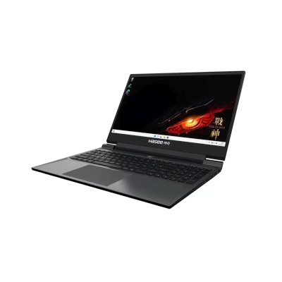 ноутбук Hasee S8 C62654FH Черный