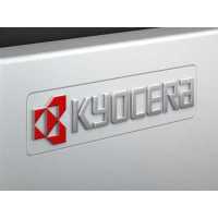 МФУ Kyocera Ecosys M4125idn 1102P23NL0 Черно-Белый