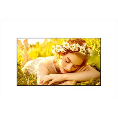 профессиональный дисплей LG 65UL5Q-M