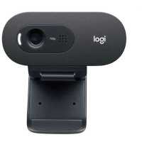веб-камера Logitech C505 HD 960-001364 черный