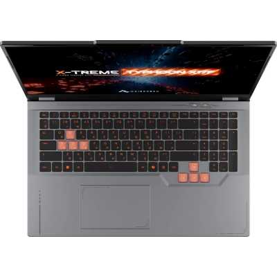 ноутбук Maibenben X17F-R989560F34HG4E10 Серый