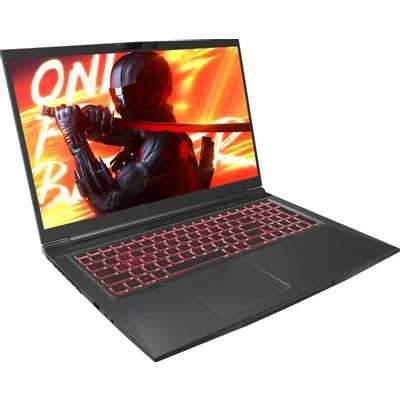 ноутбук Maibenben X725 X725FSFNLBRE0-wpro Черный