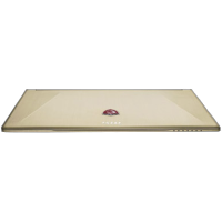 ноутбук MSI GS60 2QE-033 Золотой