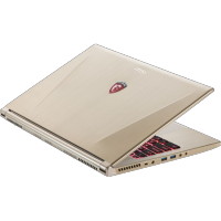 ноутбук MSI GS60 2QE-295 Золотой