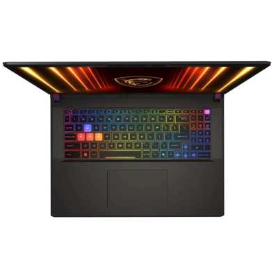 ноутбук MSI Vector 17 HX AI A2XWIG-063XRU Серый