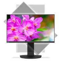монитор NEC EA241F-BK Черный