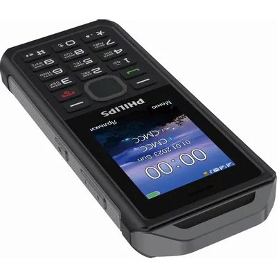 мобильный телефон Philips Xenium E2317 Dark Grey