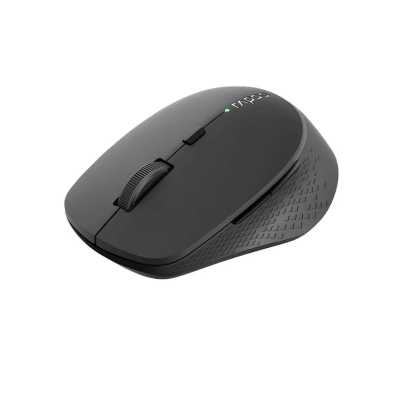 мышь Rapoo M300L-DGRY Silent Dark Grey Темно-серый