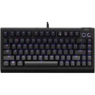 клавиатура Razer BlackWidow V4 RZ03-05000100-R3M1