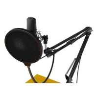 микрофон Ritmix RDM-169 Black Черный