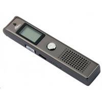диктофон Ritmix RR-100 8Gb Black