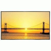 ЖК панель Samsung SyncMaster 400UXn Черный